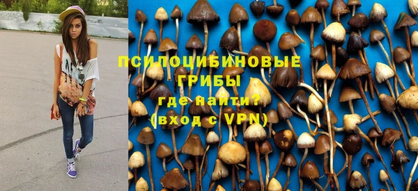 молекула духа Армянск