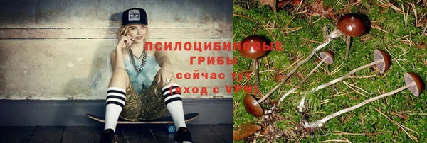 молекула духа Армянск