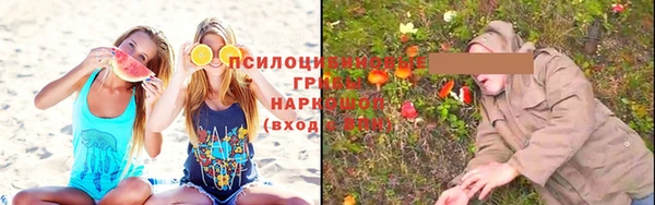 молекула духа Армянск