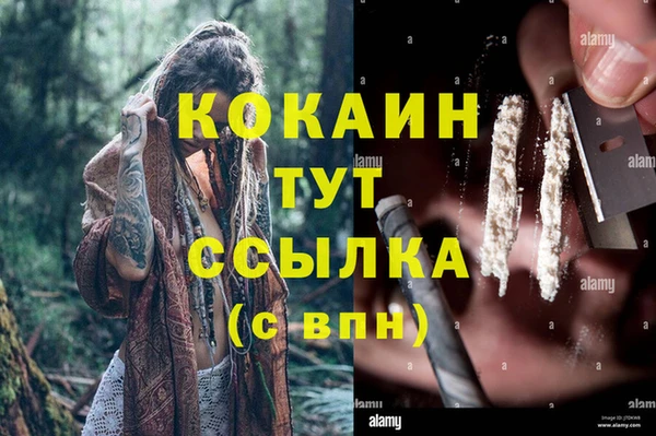молекула духа Армянск