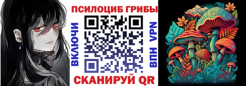 blacksprut вход  маркетплейс состав  Галлюциногенные грибы прущие грибы  Чудово 