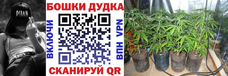 МАРИХУАНА SATIVA & INDICA  Чудово 